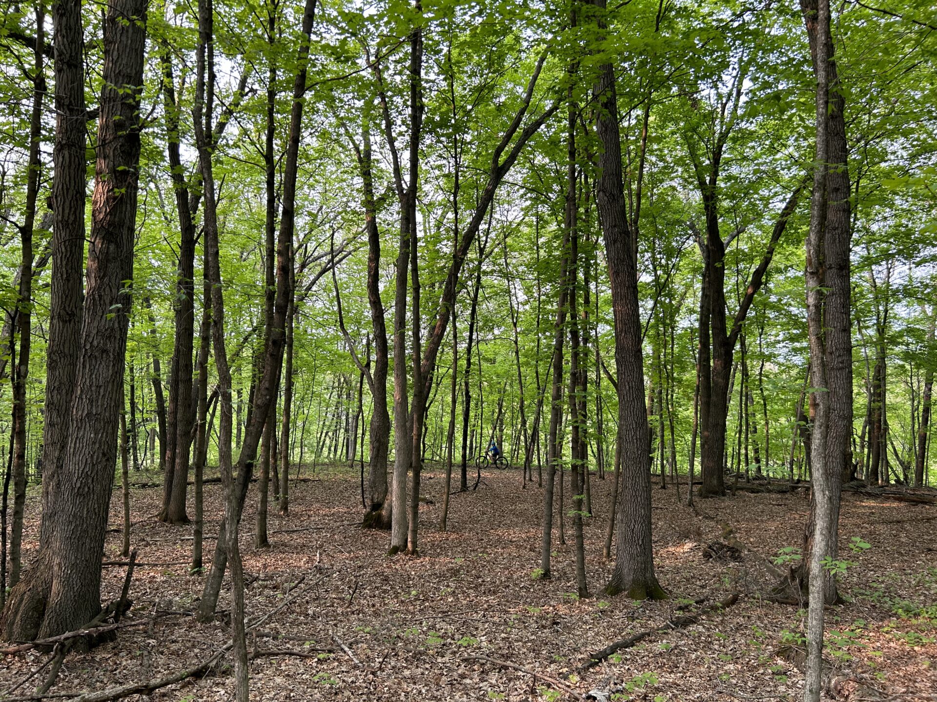 Kinnickinnic State Park